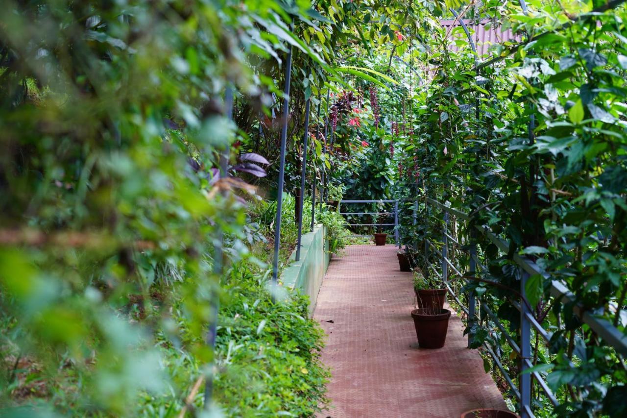 Fabescape Edens Resort Munnar Zewnętrze zdjęcie